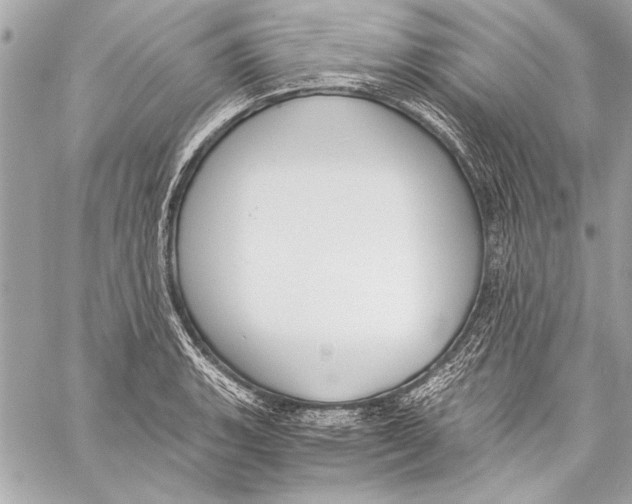 X0000057061135200510071400