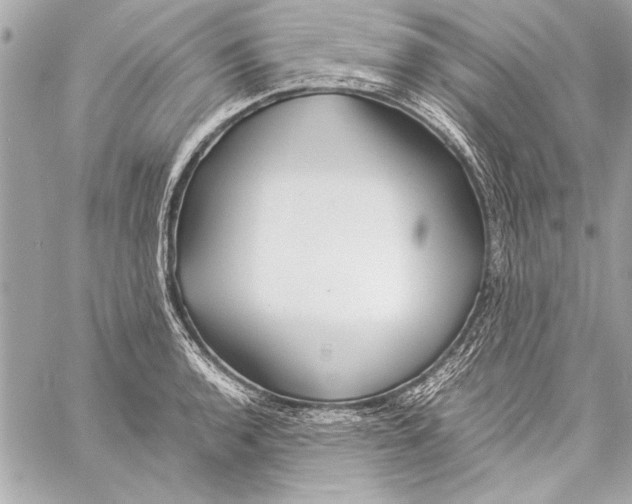 X0000057061136200510071400