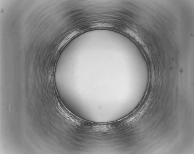 X0000057061137200510071400