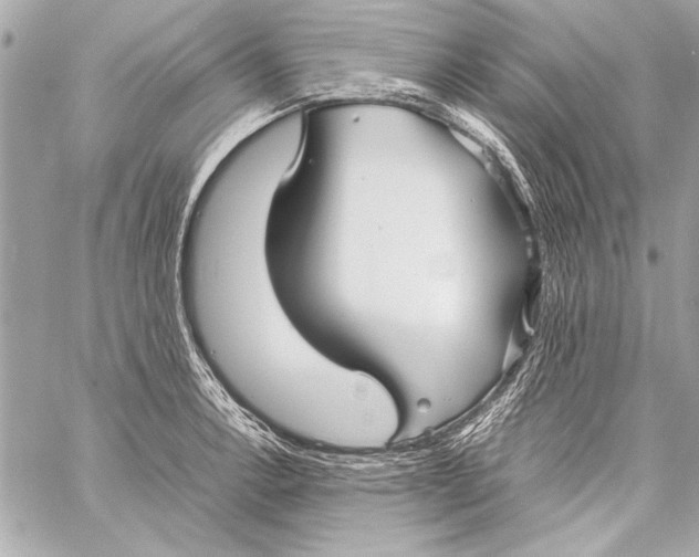 X0000057061138200510071400