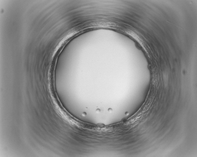 X0000057061139200510071400