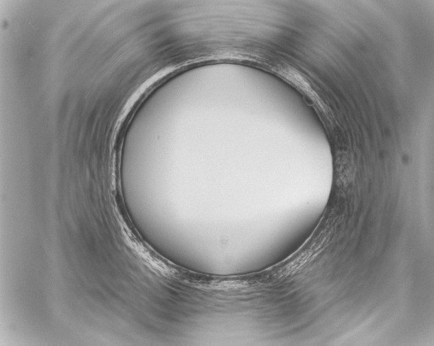 X0000057061140200510071400