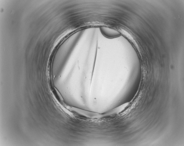 X0000057061141200510071400