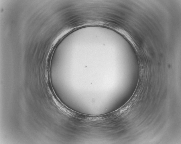 X0000057061143200510071400