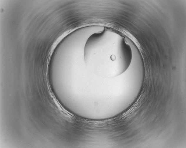 X0000057061144200510071400