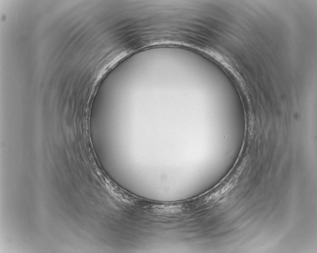 X0000057061145200510071400