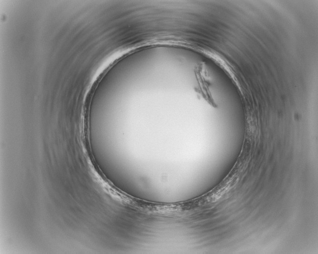 X0000057061147200510071400