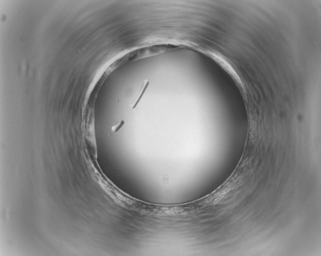 X0000057061148200510071400