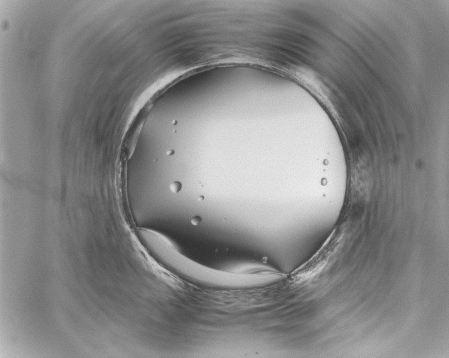 X0000057061149200510071400