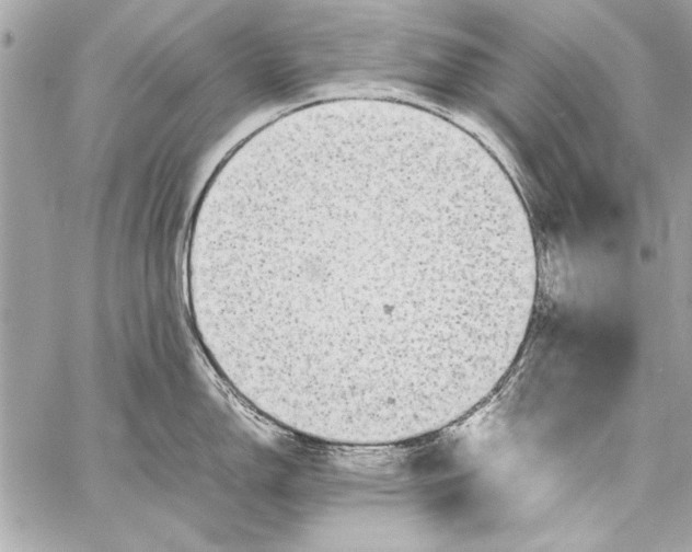 X0000057061150200510071400