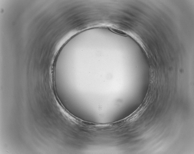 X0000057061151200510071400