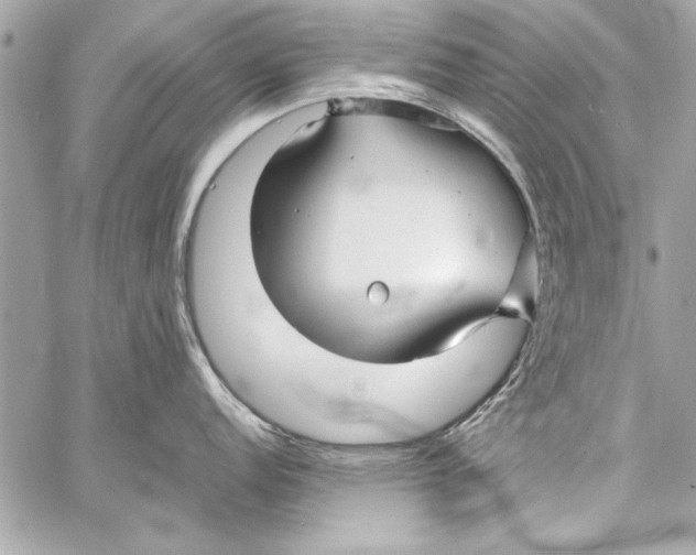 X0000057061152200510071400