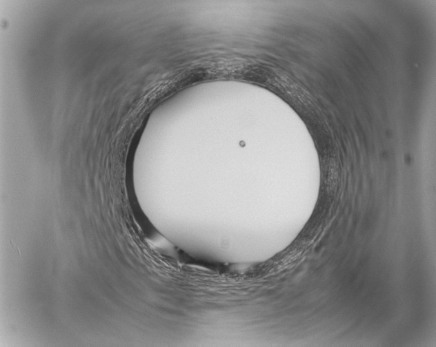 X0000057061153200510071359