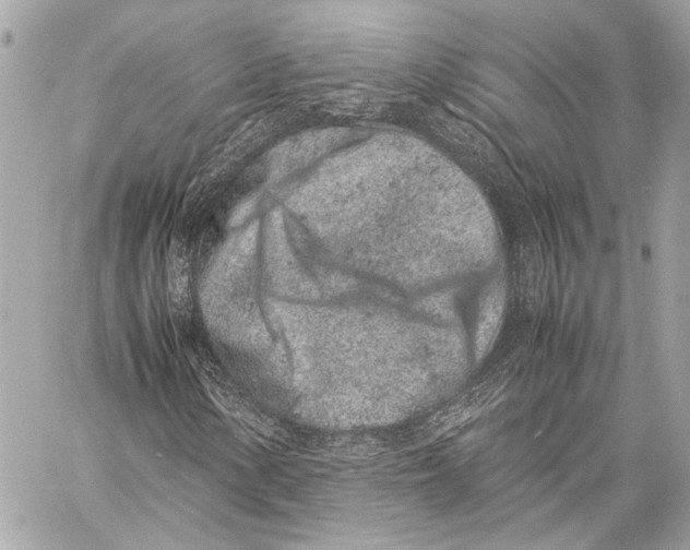 X0000057061154200510071359