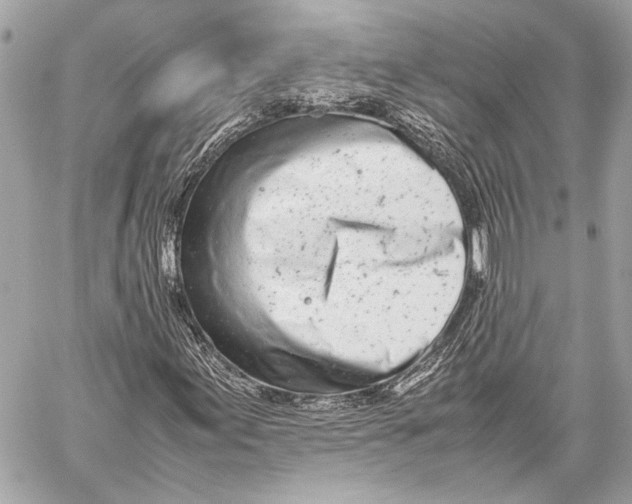 X0000057061155200510071359