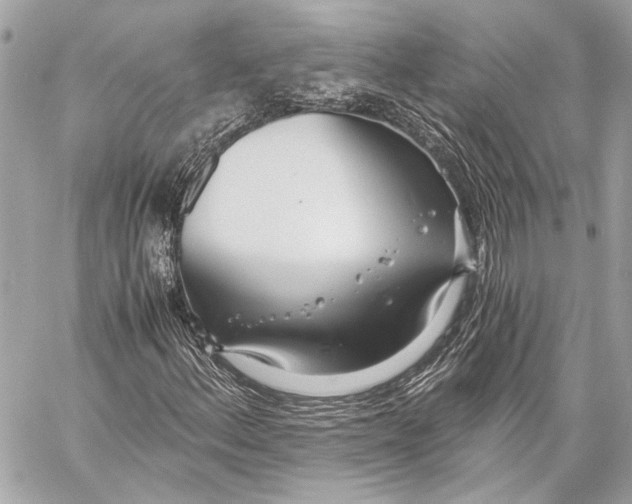 X0000057061156200510071359