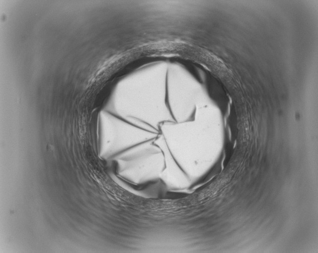 X0000057061158200510071359