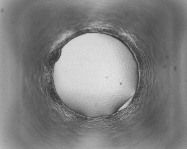 X0000057061159200510071359