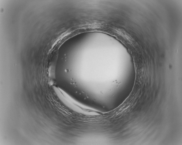 X0000057061160200510071359