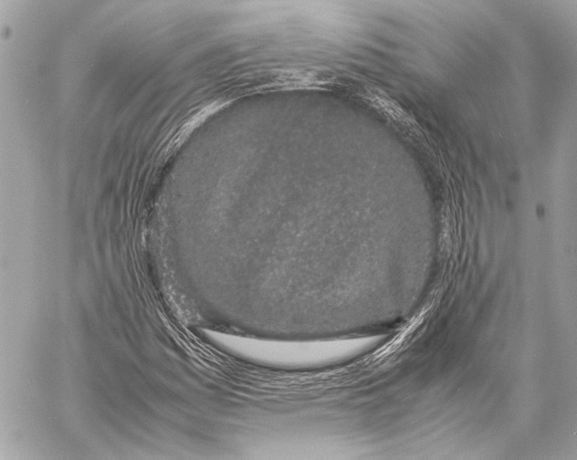 X0000057061161200510071359