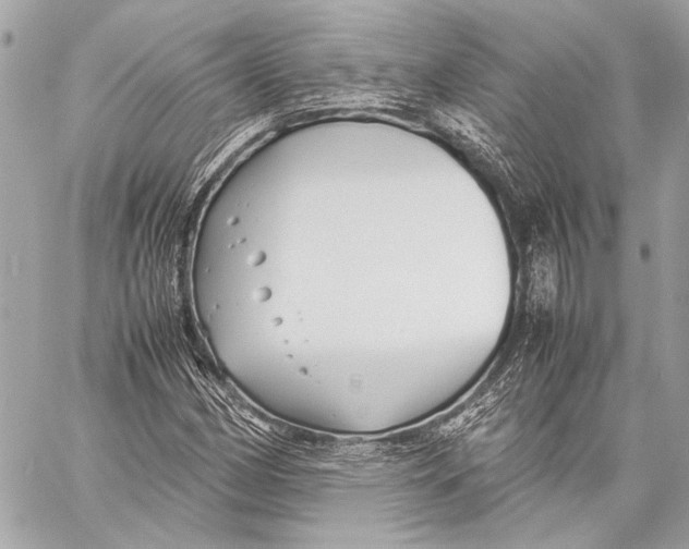 X0000057061162200510071359