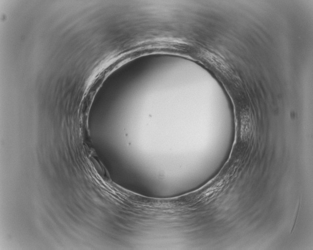 X0000057061164200510071359