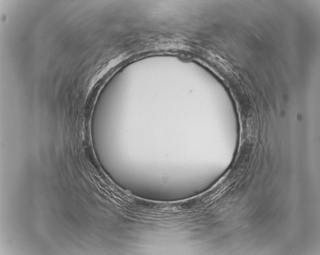 X0000057061165200510071359