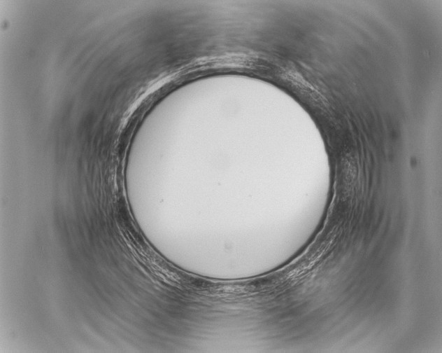 X0000057061166200510071359