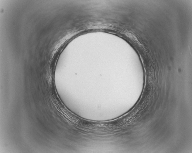 X0000057061167200510071359