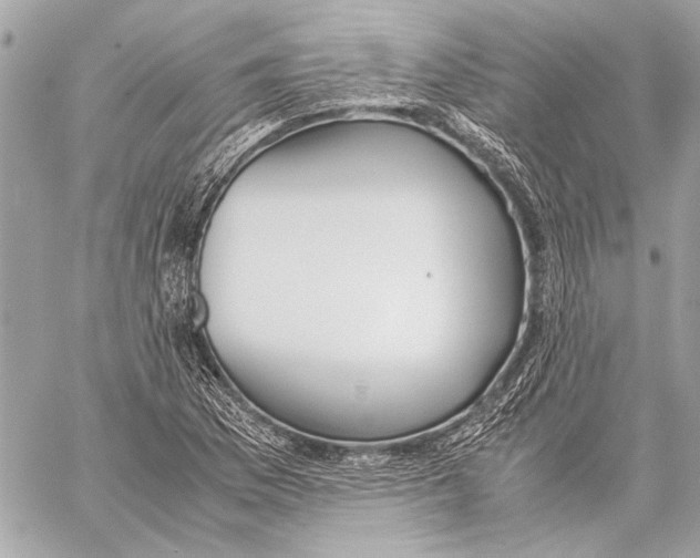 X0000057061169200510071359