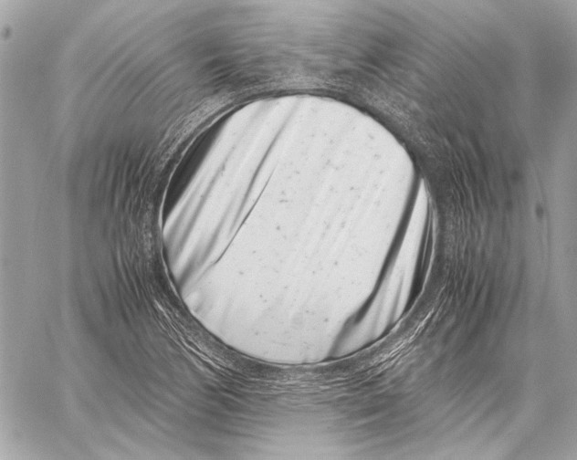 X0000057061170200510071359