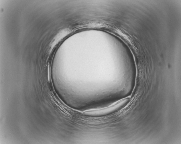 X0000057061171200510071359