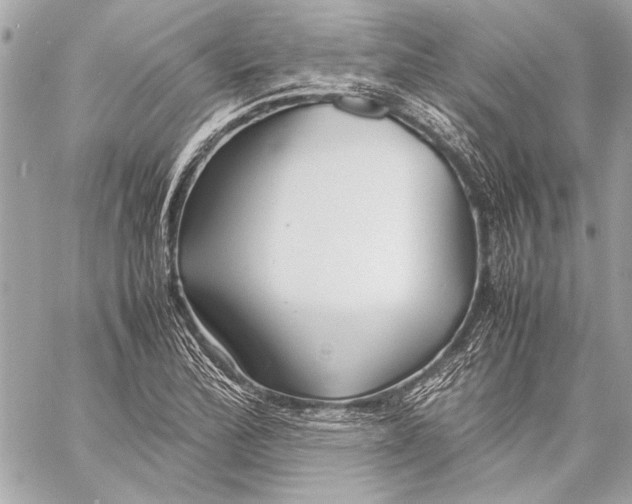 X0000057061172200510071359