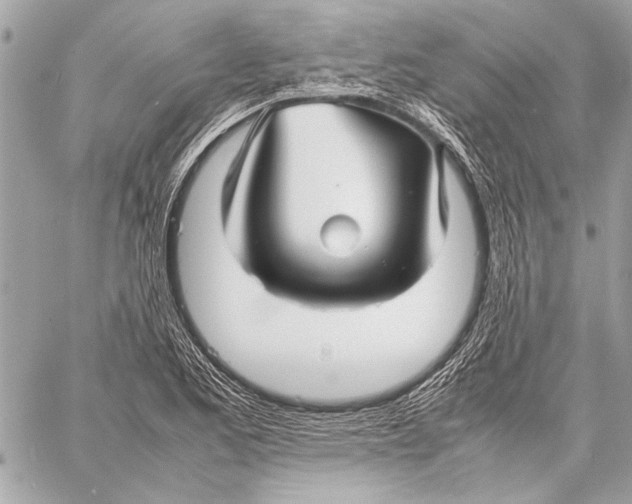 X0000057061173200510071359