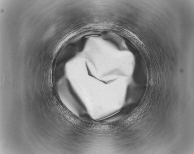 X0000057061174200510071359