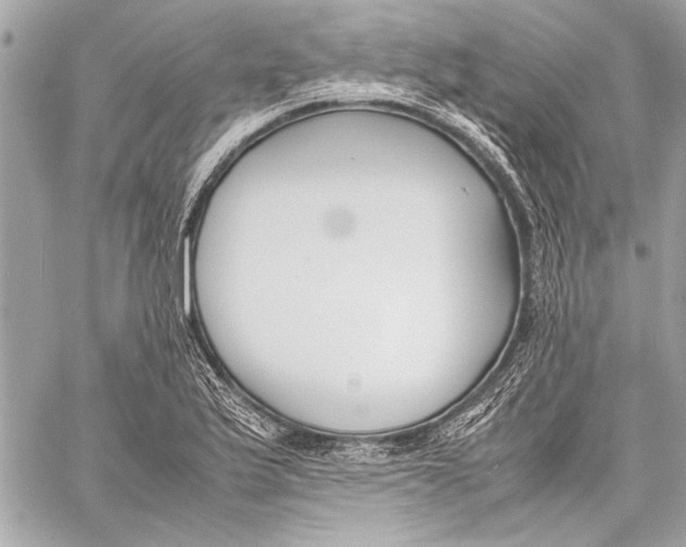 X0000057061175200510071359