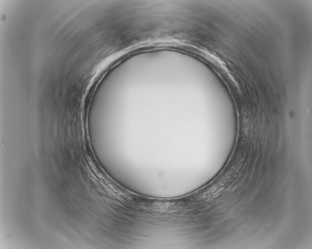 X0000057061176200510071359