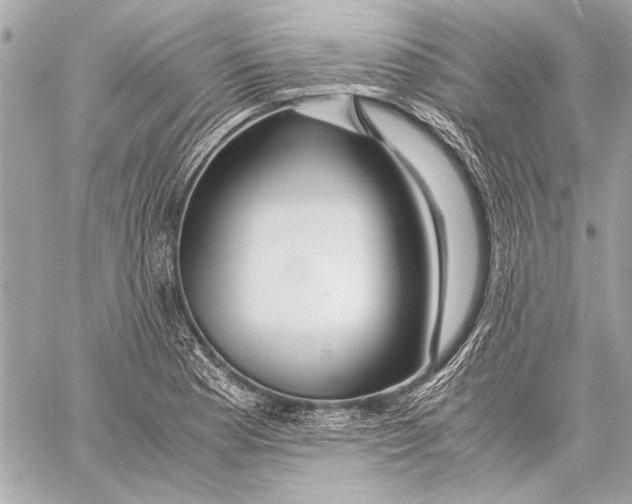 X0000057061177200510071359