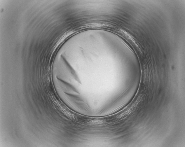 X0000057061178200510071359