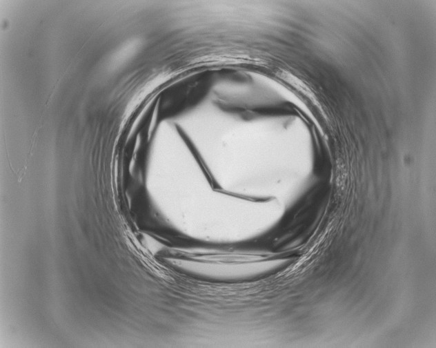 X0000057061179200510071359