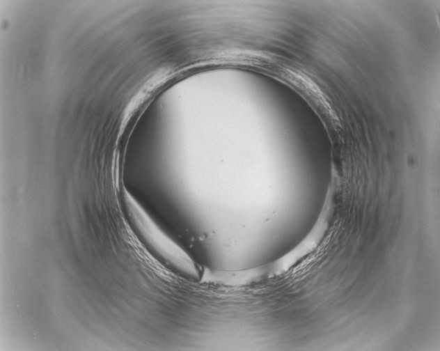 X0000057061180200510071359