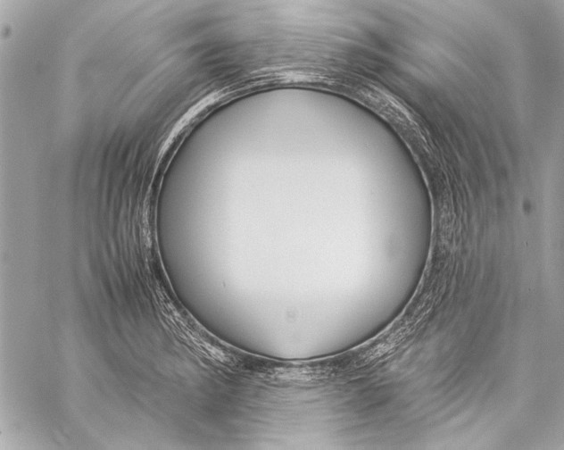 X0000057061182200510071359