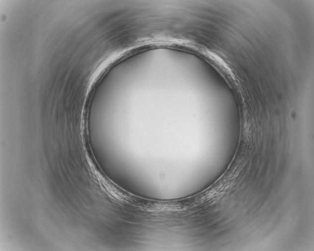 X0000057061183200510071359