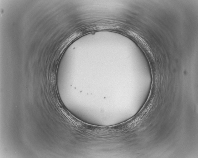 X0000057061185200510071359