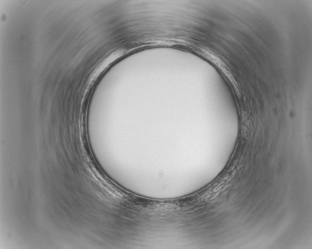 X0000057061187200510071359