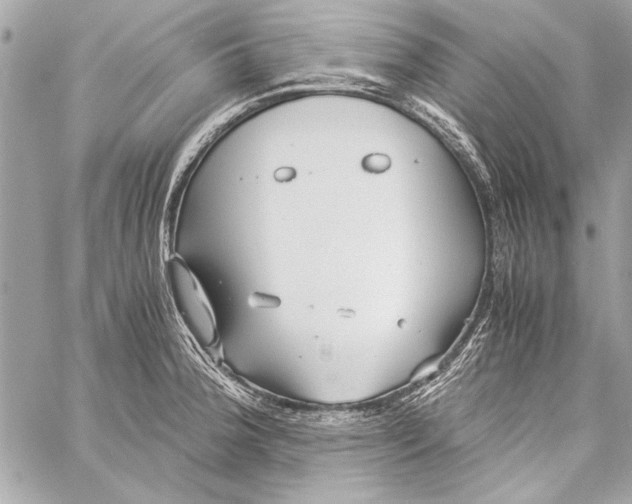 X0000057061188200510071359