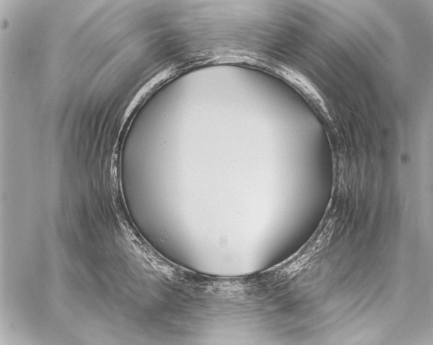 X0000057061190200510071358