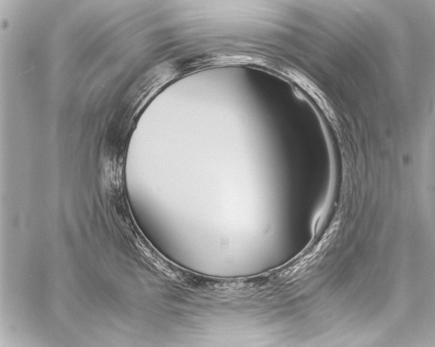 X0000057061193200510071358