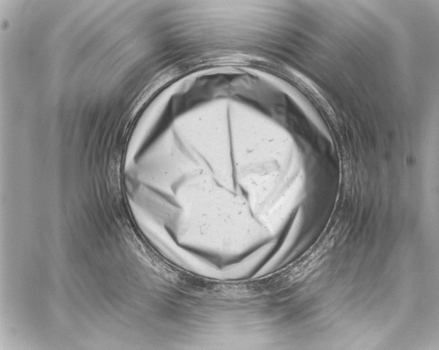 X0000057061194200510071358