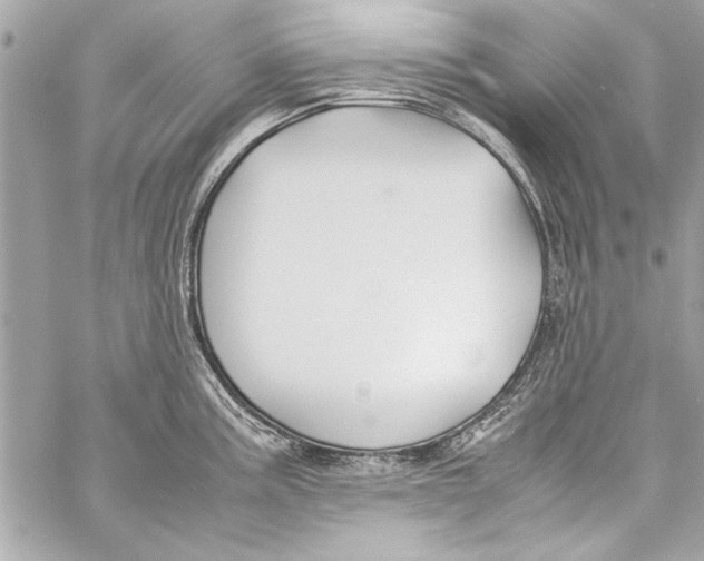 X0000057061195200510071358